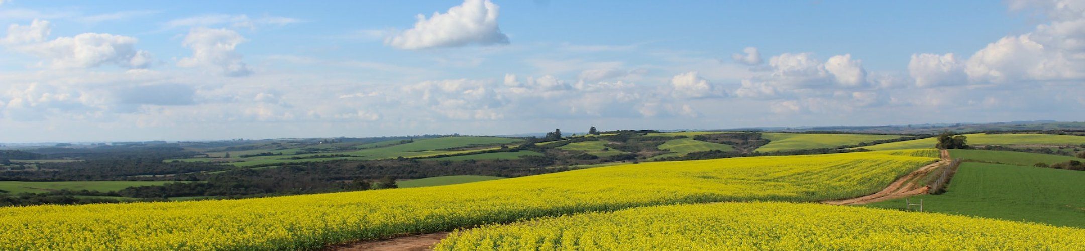 Advanced Training course on science-based advice for policy in agriculture and
environment & Co-creation workshop in Ghent